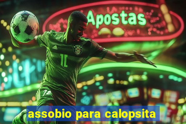 assobio para calopsita